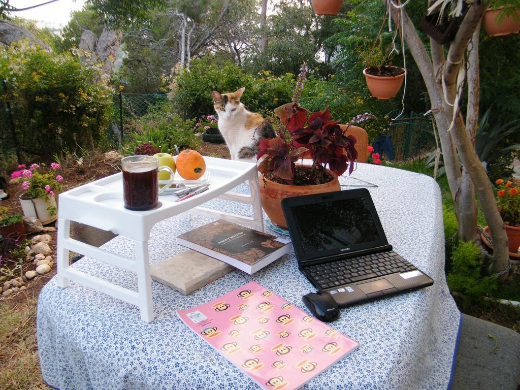 Stella Maris Hosting Appartement Haifa Buitenkant foto